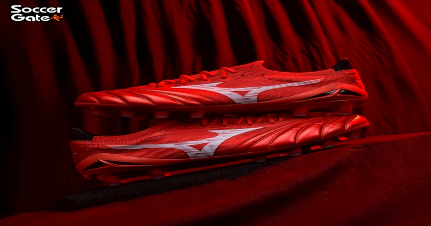 𝐌𝐈𝐙𝐔𝐍𝐎 𝐌𝐎𝐑𝐄𝐋𝐈𝐀 𝐍𝐄𝐎 𝐈𝐕 𝐁𝐄𝐓𝐀 𝐄𝐋𝐈𝐓𝐄