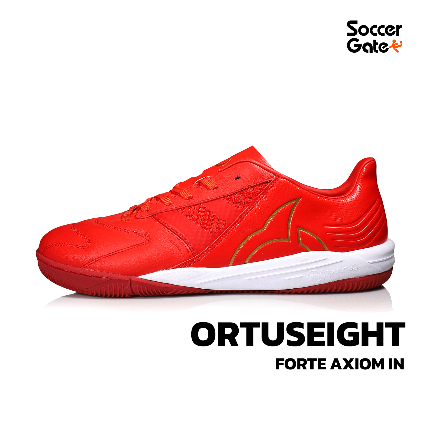 Ortuseight FORTE AXIOM IN