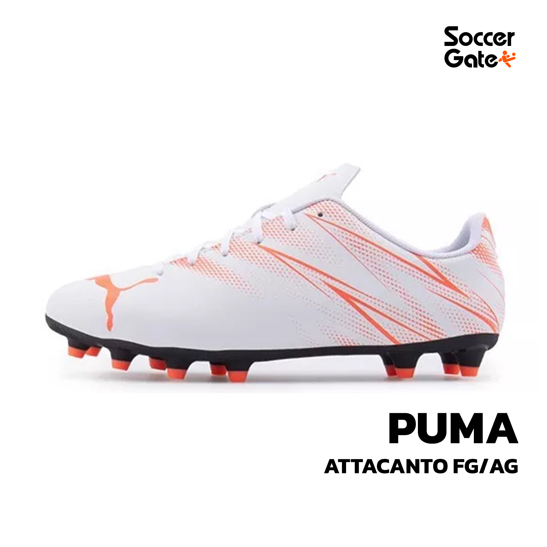 ATTACANTO FG/AG