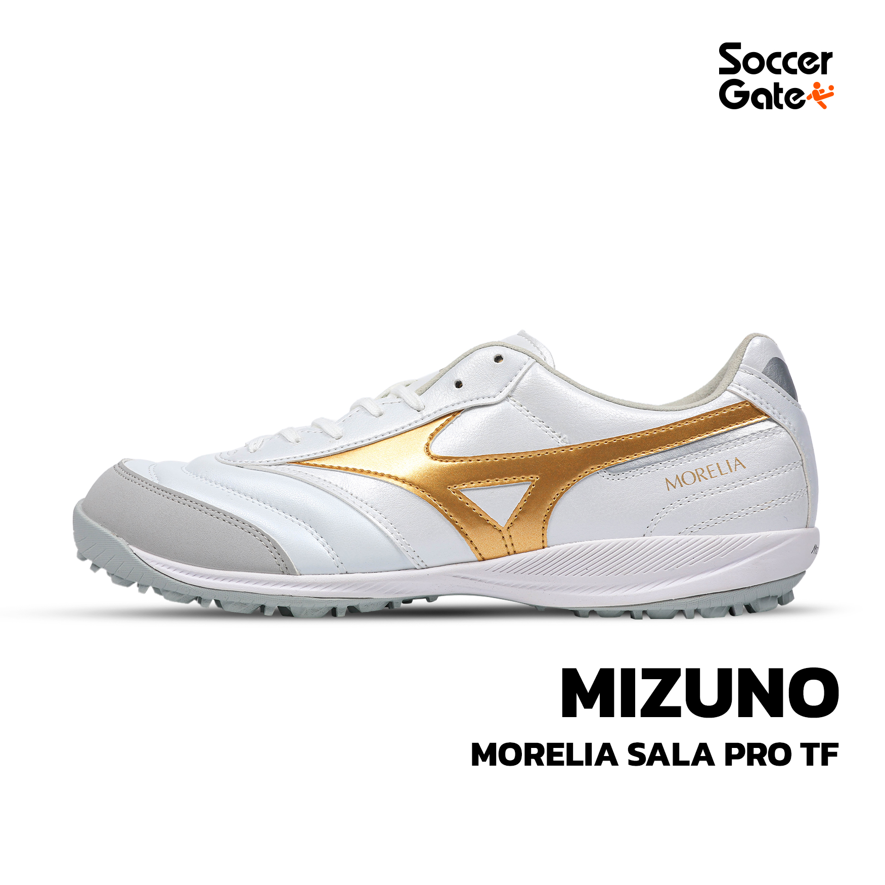 MORELIA SALA PRO TF